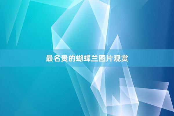 最名贵的蝴蝶兰图片观赏