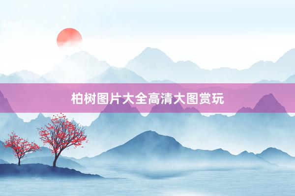柏树图片大全高清大图赏玩