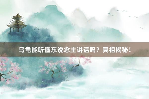 乌龟能听懂东说念主讲话吗？真相揭秘！