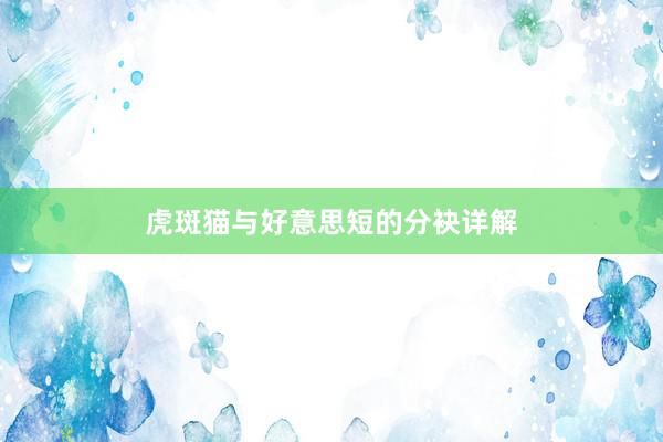 虎斑猫与好意思短的分袂详解