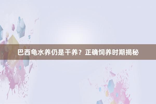 巴西龟水养仍是干养？正确饲养时期揭秘